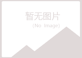 山西夏岚咨询有限公司